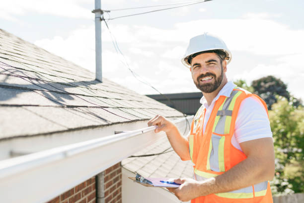 Best Roof Insulation Installation  in Buffalo, MN